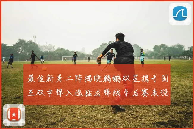 最佳新秀二阵揭晓鹈鹕双星携手国王双中锋入选猛龙锋线季后赛表现抢眼